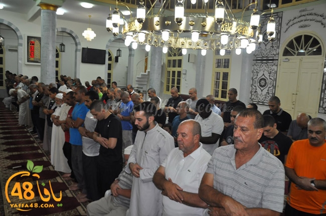 qader yaffa msajed (24).JPG